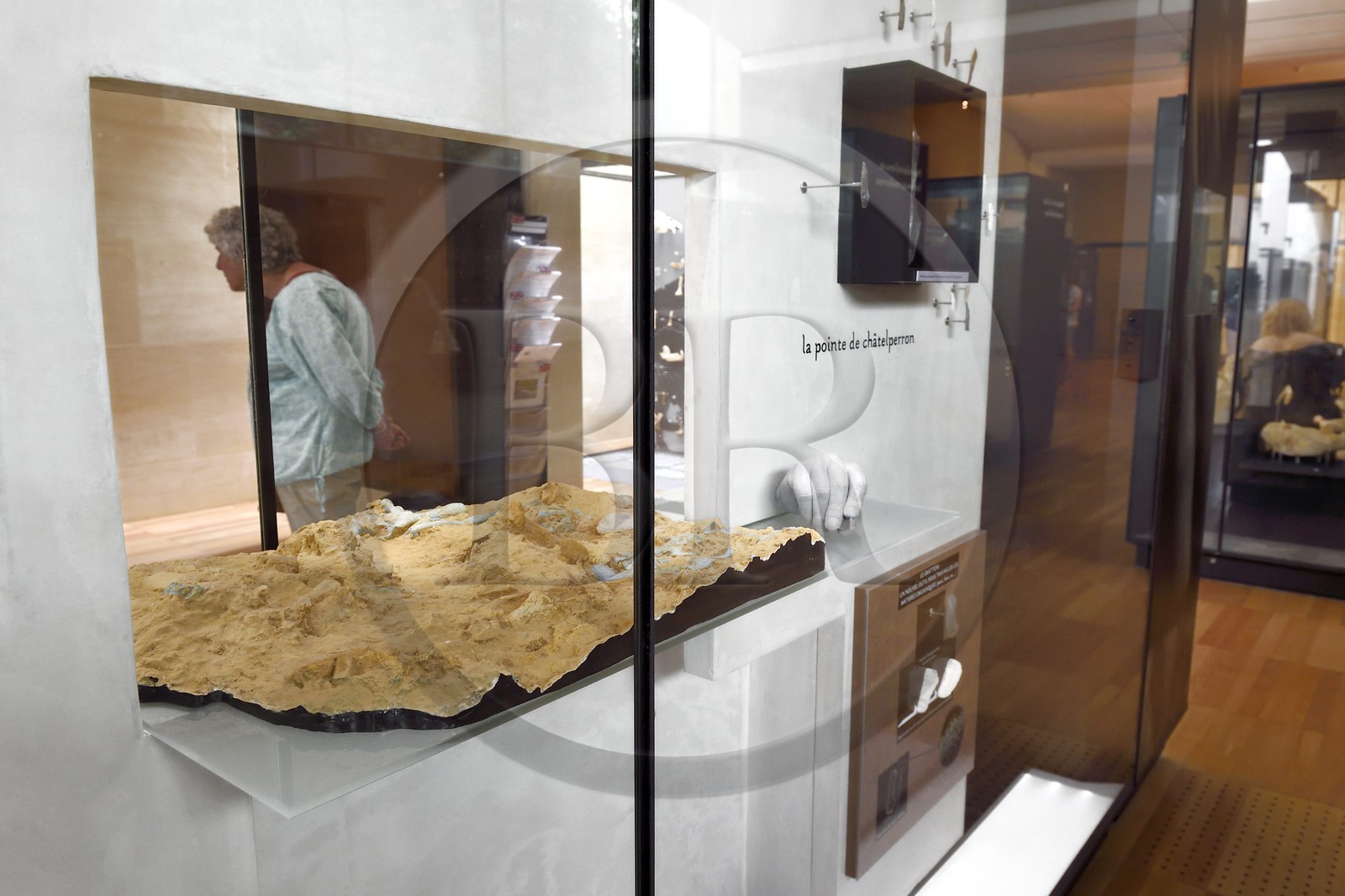 France, Dordogne, Perigord Noir, Vezere Valley, Les Eyzies de Tayac Sireuil, listed as World Heritage by UNESCO, Musee de la Prehistoire (Museum of Prehistory)