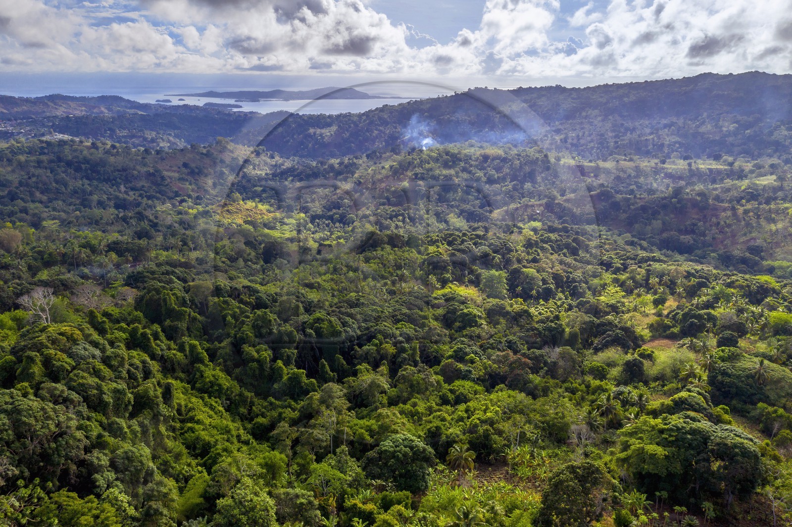 France, Mayotte island (French overseas department), Grande-Terre, Miréréni, Combani forest reserve (aerial view)
