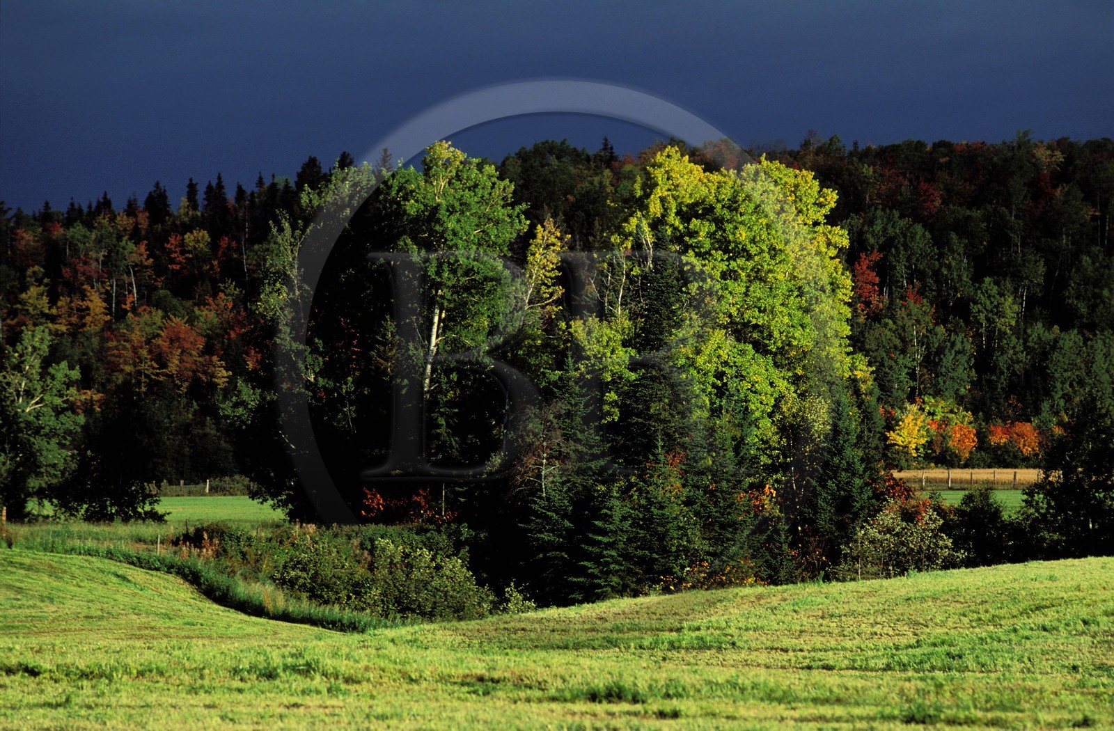 Canada, province de Québec, Saguenay, campagne dans la région de Sacré-Coeur