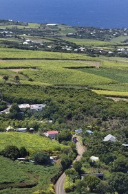 France, Ile de la Reunion, Petite Ile, champs de cannes à sucre vers Anse-les Bas vus depuis le piton de Mont Vert