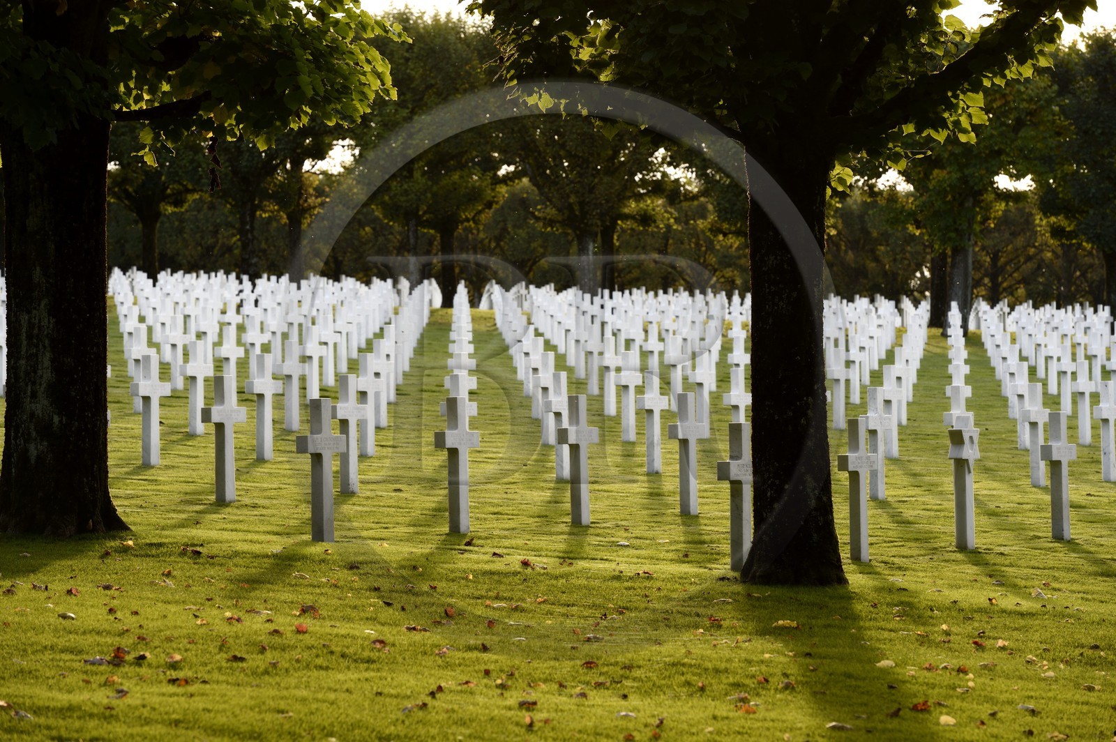 France, Meuse (55), le cimetière américain de Romagne-sous-Montfaucon, 14 246 américains ayant combattu lors de la Première Guerre mondiale y sont enterrés