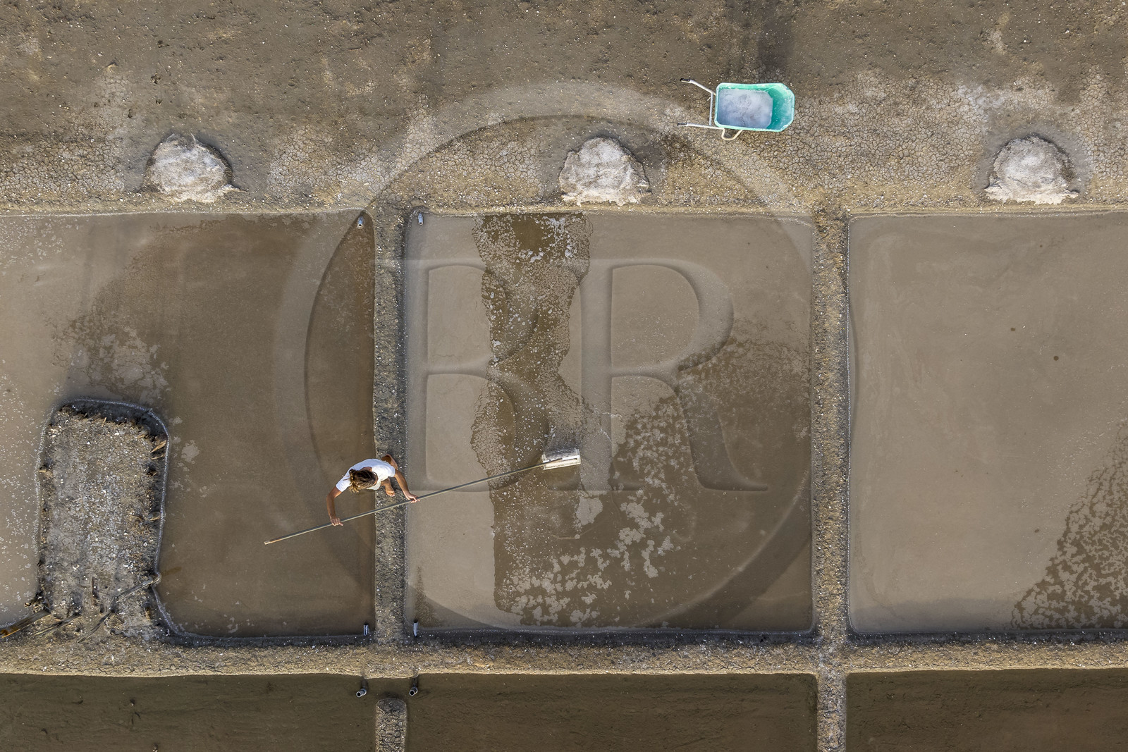 France, Charente-Maritime (17), Ile d'Oléron, Saint-Georges-d'Oléron, cueillette artisanale de la fleur de sel avec une lousse à fleur par le saunier Samuel Barbereau (vue aérienne)
