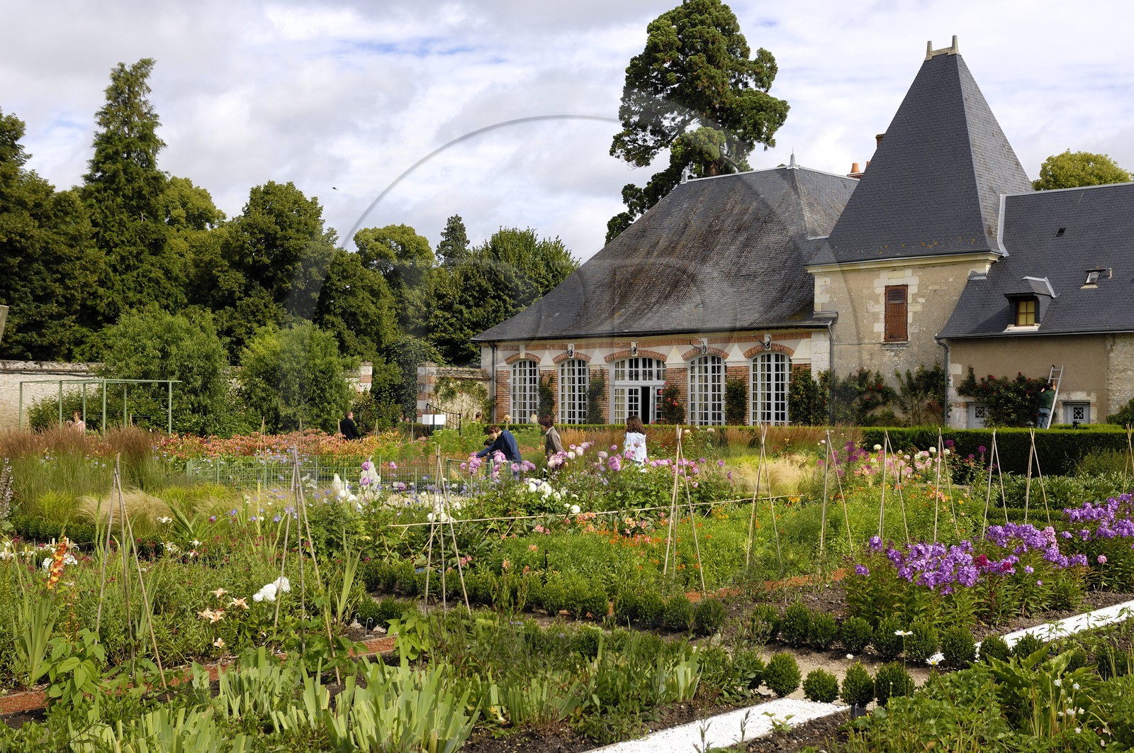 France, Loir-et-Cher (41), château de Cheverny, le jardin potager