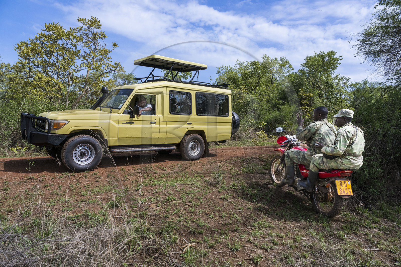 Rwanda, Parc national de l'Akagera, safari en 4x4, rencontre avec deux gardes du parc et pisteurs (Fidel et Dieudonné) chargés d'observer et de suivre les déplacements des rhinocéros