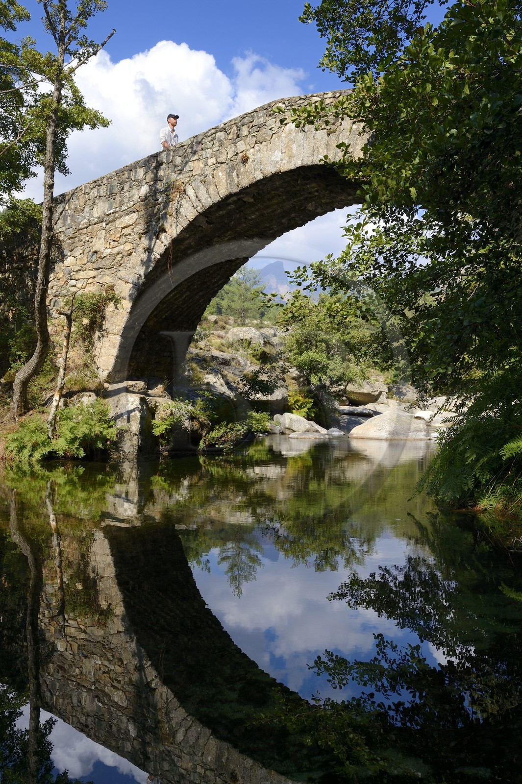 France, Haute-Corse (2B), région du Niolu (Niolo), pont génois de Murricciolu sur la rivière Calasima