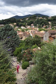 France, Var (83), Massif des Maures, Collobrières
