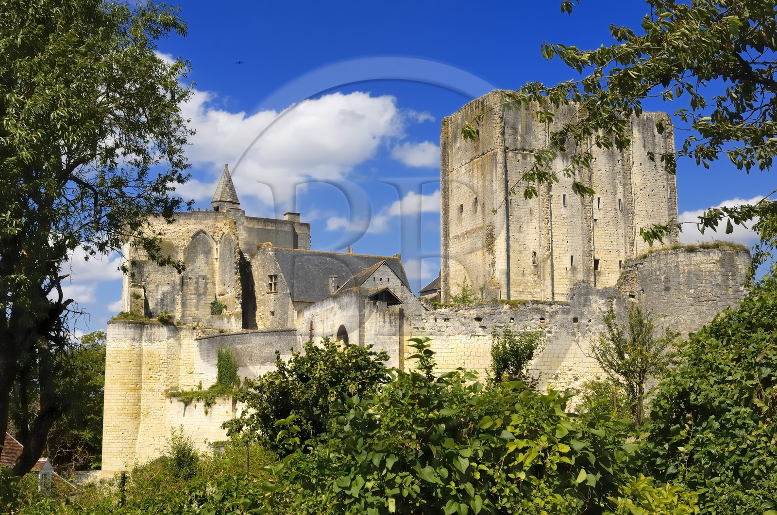 France, Indre-et-Loire (37), Loches, le donjon et la forteresse féodale