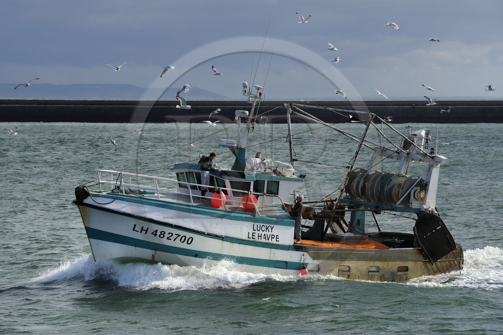 France, Seine-Maritime (76), Le Havre, bateau de pêche entrant au port suivi par une nuée de goélands