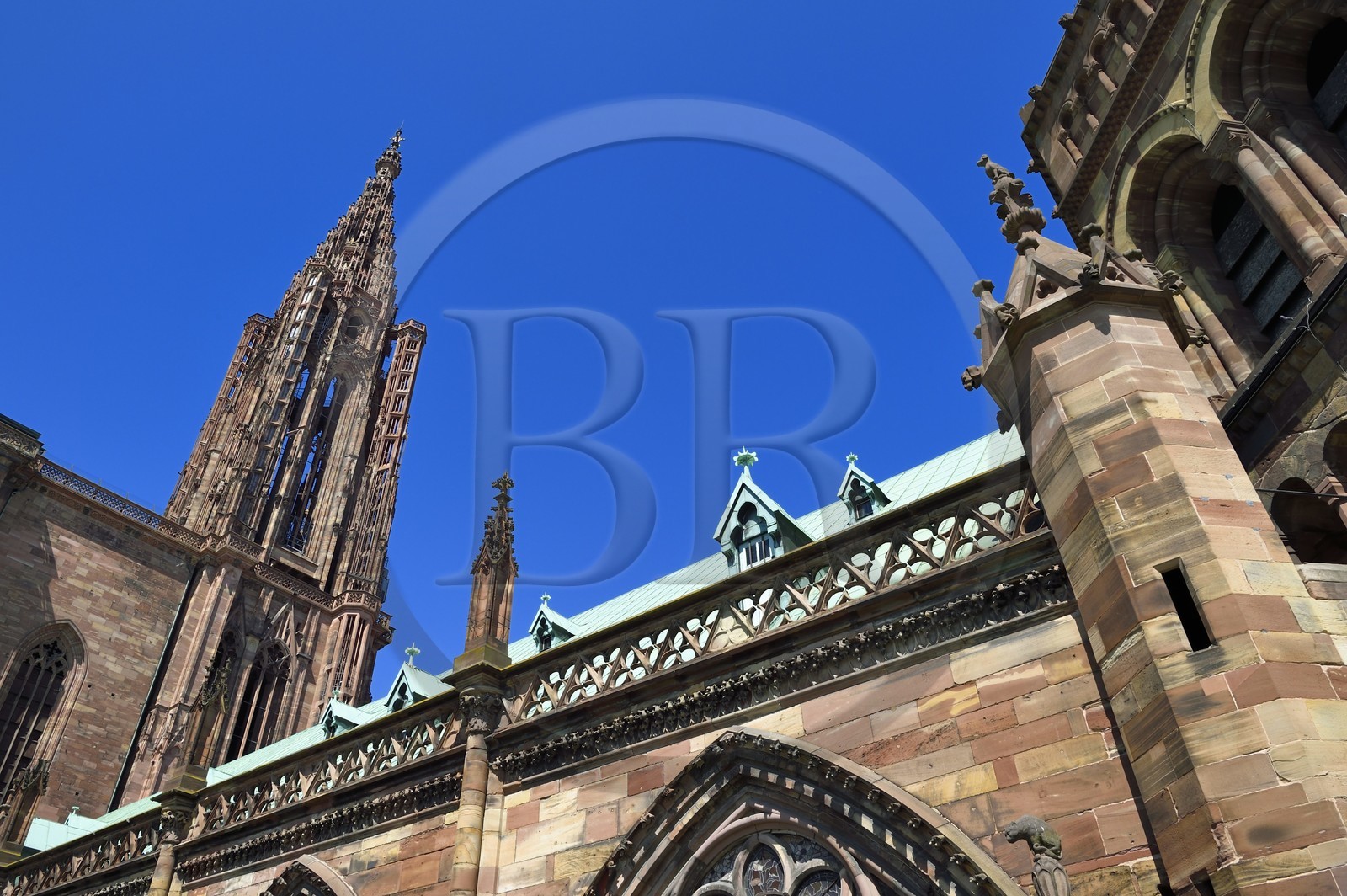 France, Bas-Rhin (67), Strasbourg, vieille ville classée au Patrimoine Mondial de l'UNESCO, la cathédrale Notre-Dame, la flèche et chien perché sur un pinacle de la facade sud