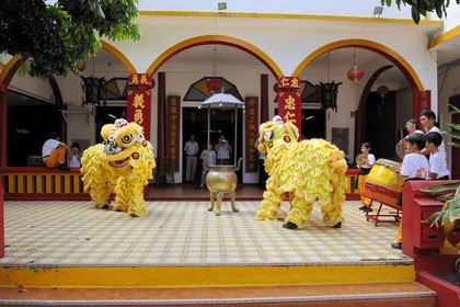 France, île de la Réunion, Saint-Pierre, danse traditionnelle du dragon à l'occasion des fêtes du nouvel an chinois dans un temple