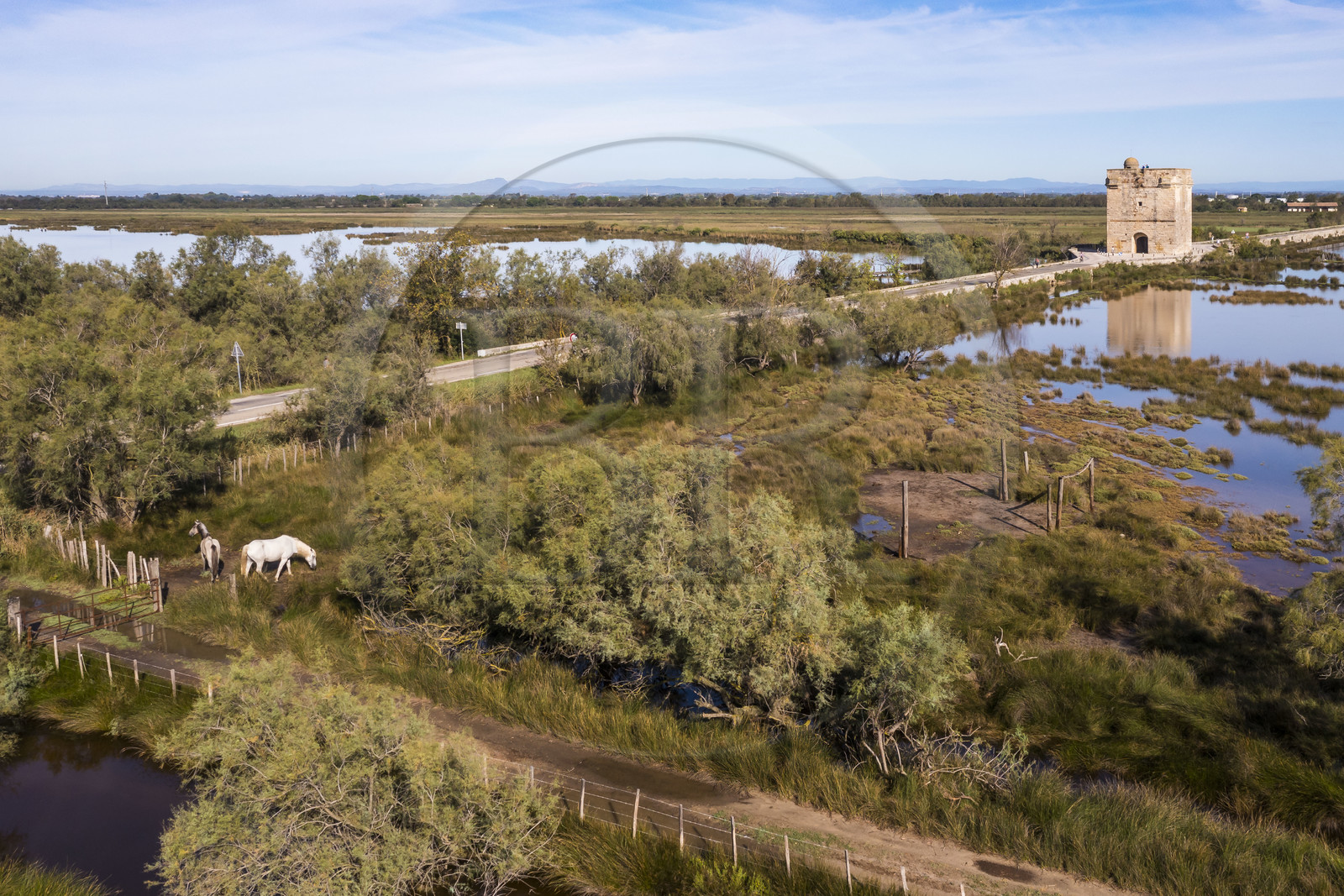 France, Aigues-Mortes, Saint-Laurent-d'Aigouze, la Tour Carbonnière dans la Petite Camargue (vue aérienne) France, Aigues-Mortes, Saint-Laurent-d'Aigouze, the Carbonnière Tower in the Petite Camargue (aerial view)