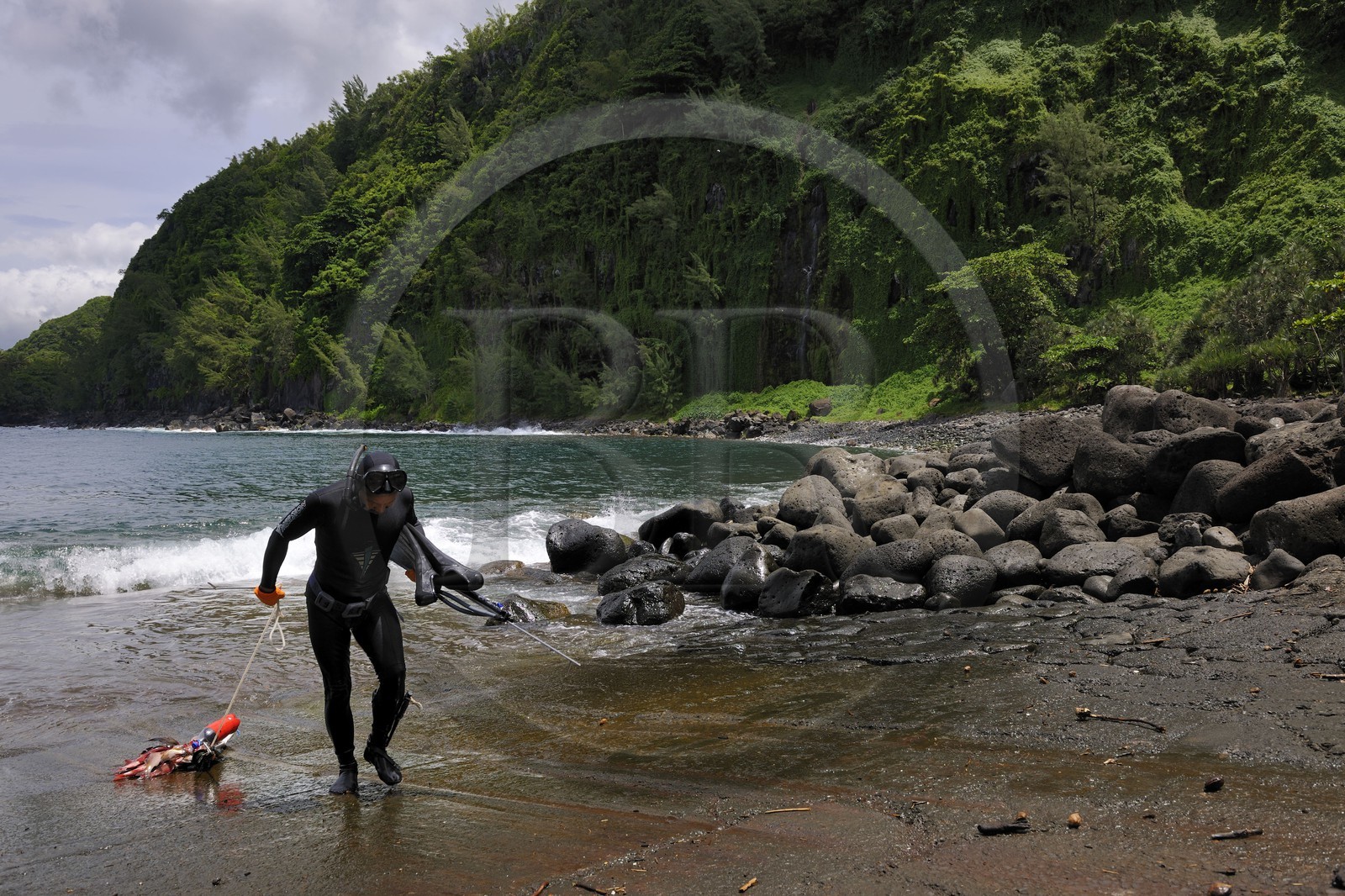 France, île de la Réunion, anse des Cascades, au sud de Piton-Sainte-Rose, classé Patrimoine Mondial de l'UNESCO, retour de pêche au harpon