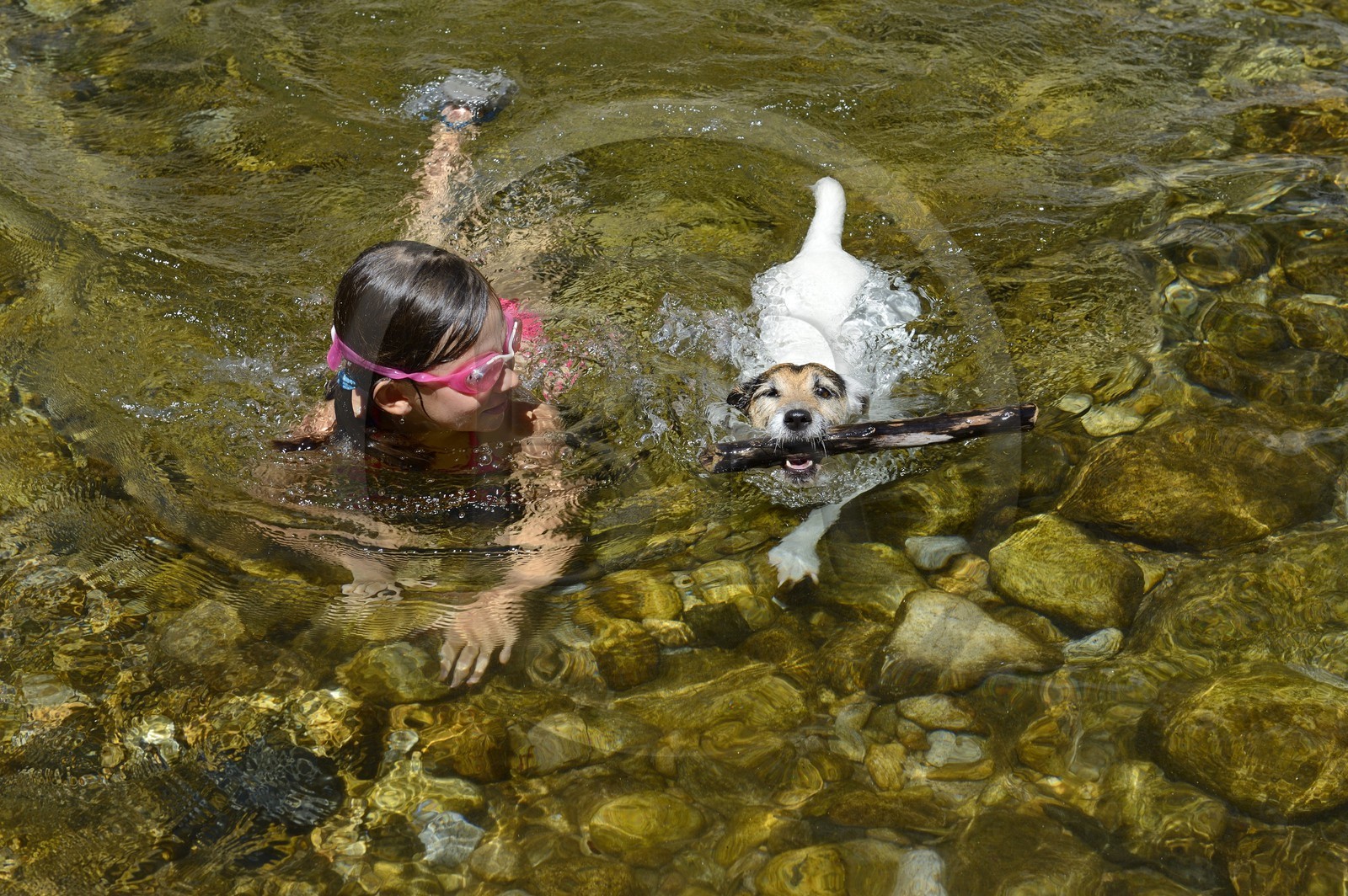 France, Ardèche (07), Parc Naturel Régional des Monts d'Ardèche, Thueyts, la haute-vallée de la rivière Ardèche