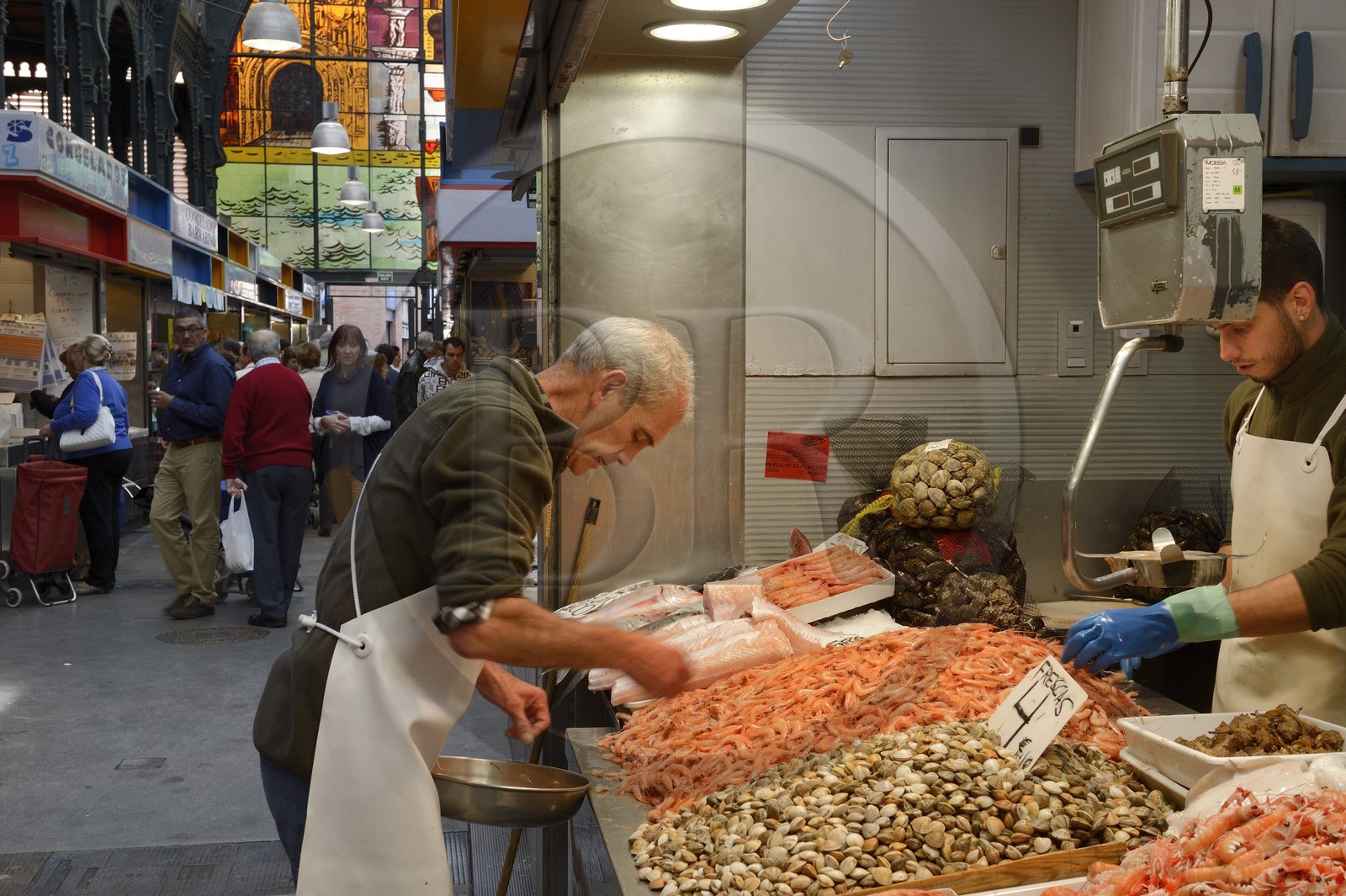 Spain, Andalusia, Malaga,  Mercado Central de Atarazanas, the fish market in the central market