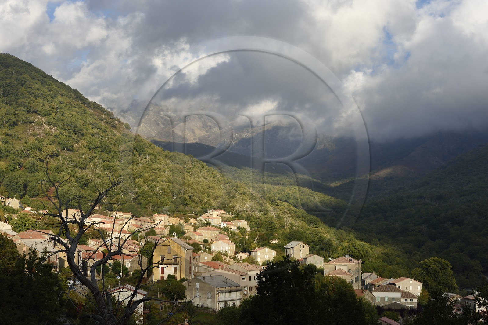 France, Corse-du-Sud (2A), Vallée du Prunelli, Bastelica