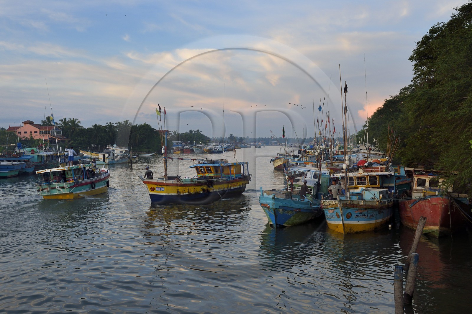 Sri Lanka, Province de l'Ouest, Negombo, retour des bateaux de peche à l'aube