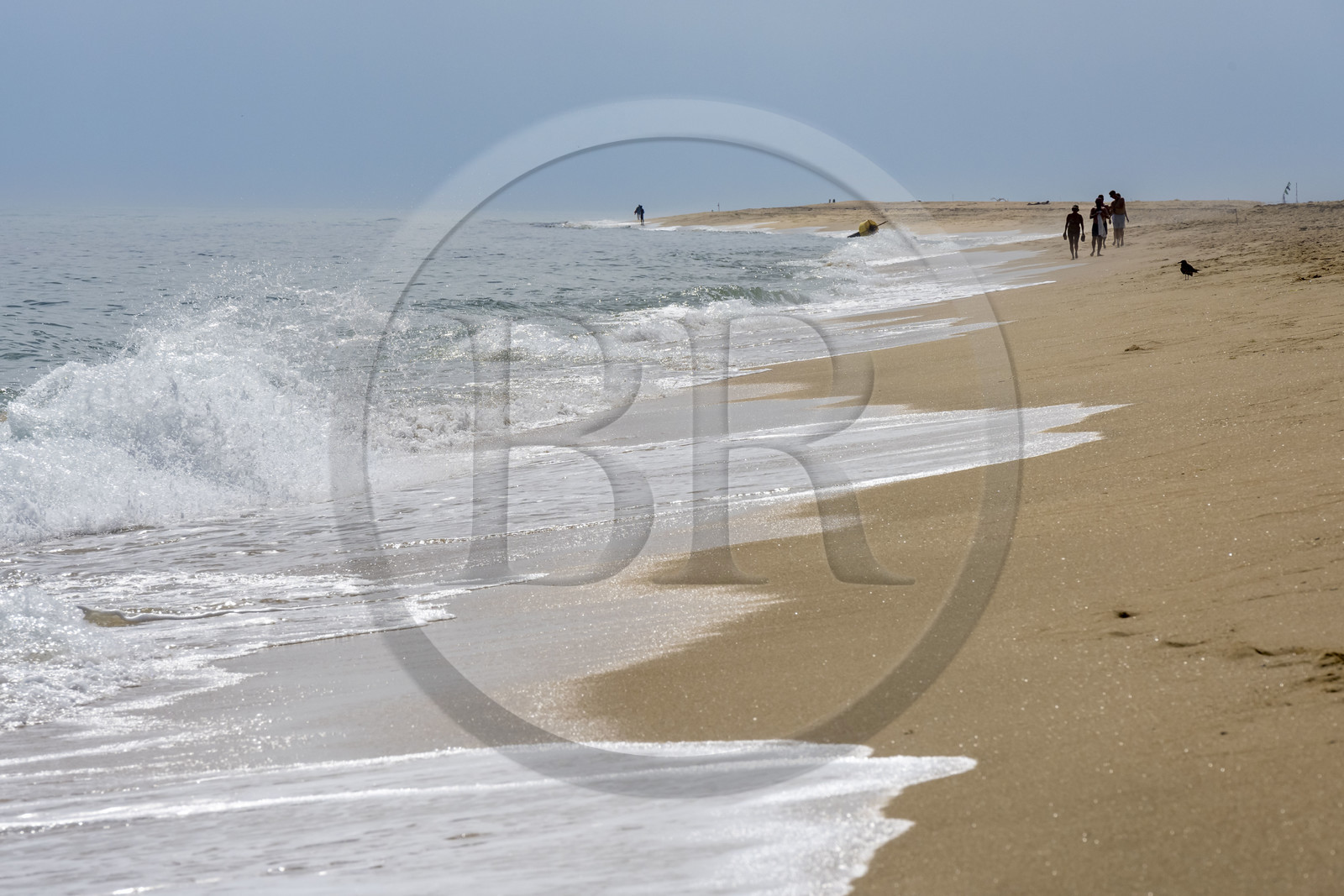 Portugal, Algarve, Parc naturel de la Ria Formosa, Faro, la plage de Ile de Barreta ou Deserta (Ilha da Barretta ou Deserta)