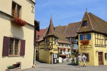 France, Haut-Rhin (68), Eguisheim, labellisé Les Plus Beaux Villages de France, maison du viticulteur Joseph Freudenreich, dégustation et vente de vin