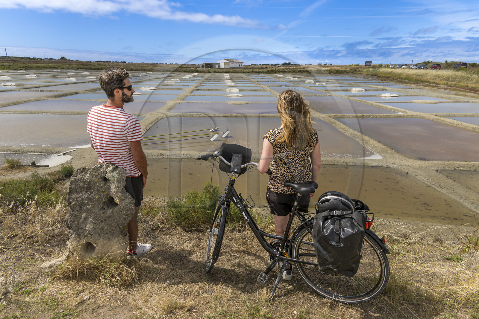 France, Vendée (85), île de Noirmoutier, L'Epine, randonnée à bicyclette, arrêt devant des marais salants