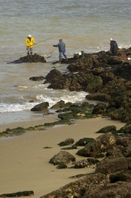 France, Charente-Maritime (17), Ile d'Aix, pointe du Parc, pêche au filet