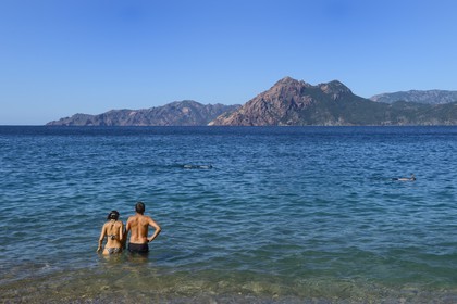 France, Corse-du-Sud (2A), Golfe de Porto, classé Patrimoine Mondial de l'UNESCO, Piana, anse et plage de Ficajola