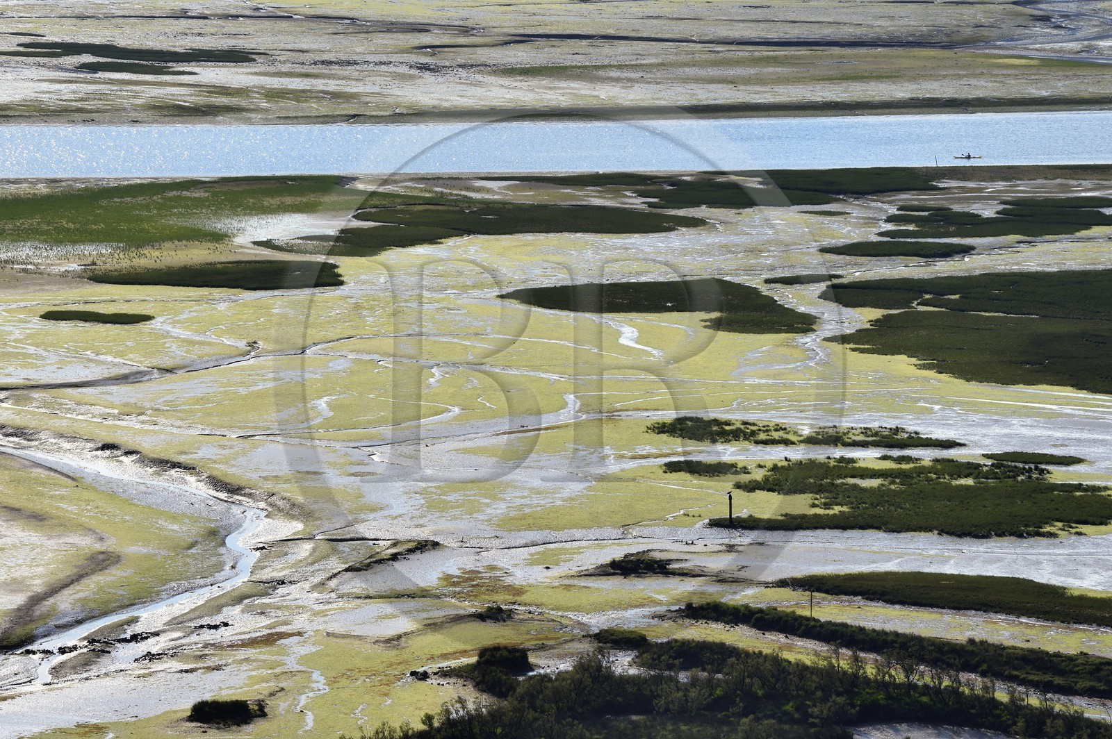 Spain, Basque Country, Biscay Province, Gernika-Lumo region, Urdaibai estuary Biosphere Reserve, estuary of the Oka River at low tide