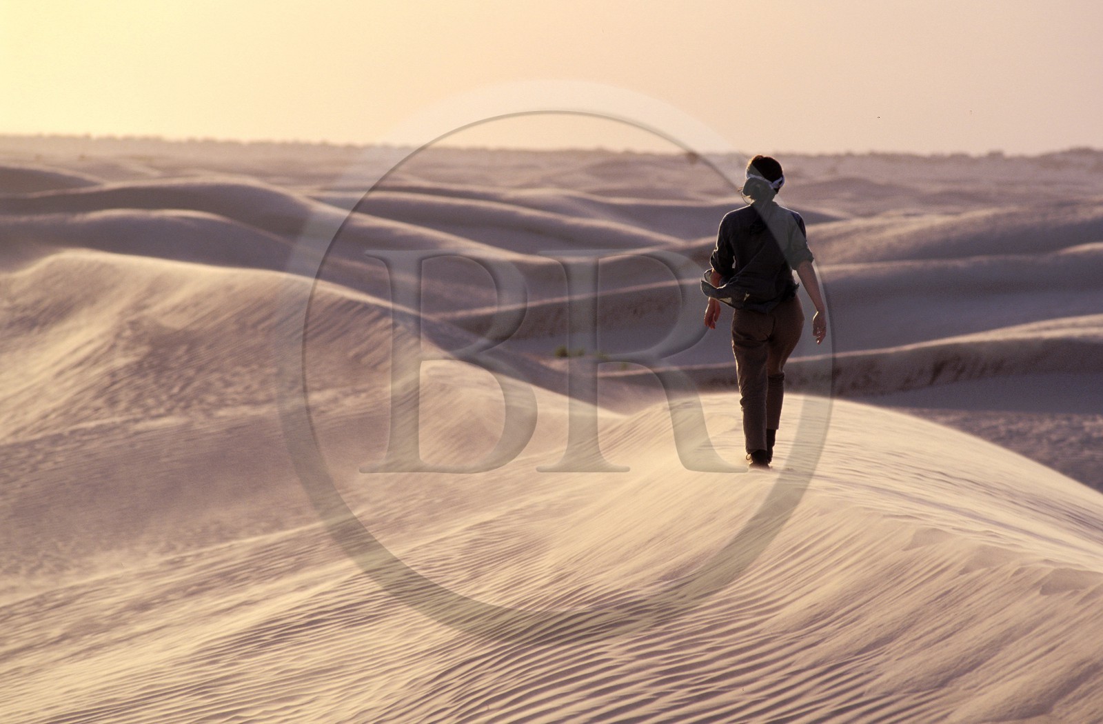 Tunisie, sud tunisien, Région de Douz, dunes de sable du grand Erg oriental