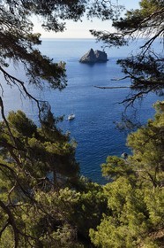 France, Var, La Seyne sur Mer, hike in the Cap Sicie massif along the Chemin du Joncquet below the Corniche Merveilleuse, the Two Brothers Rock