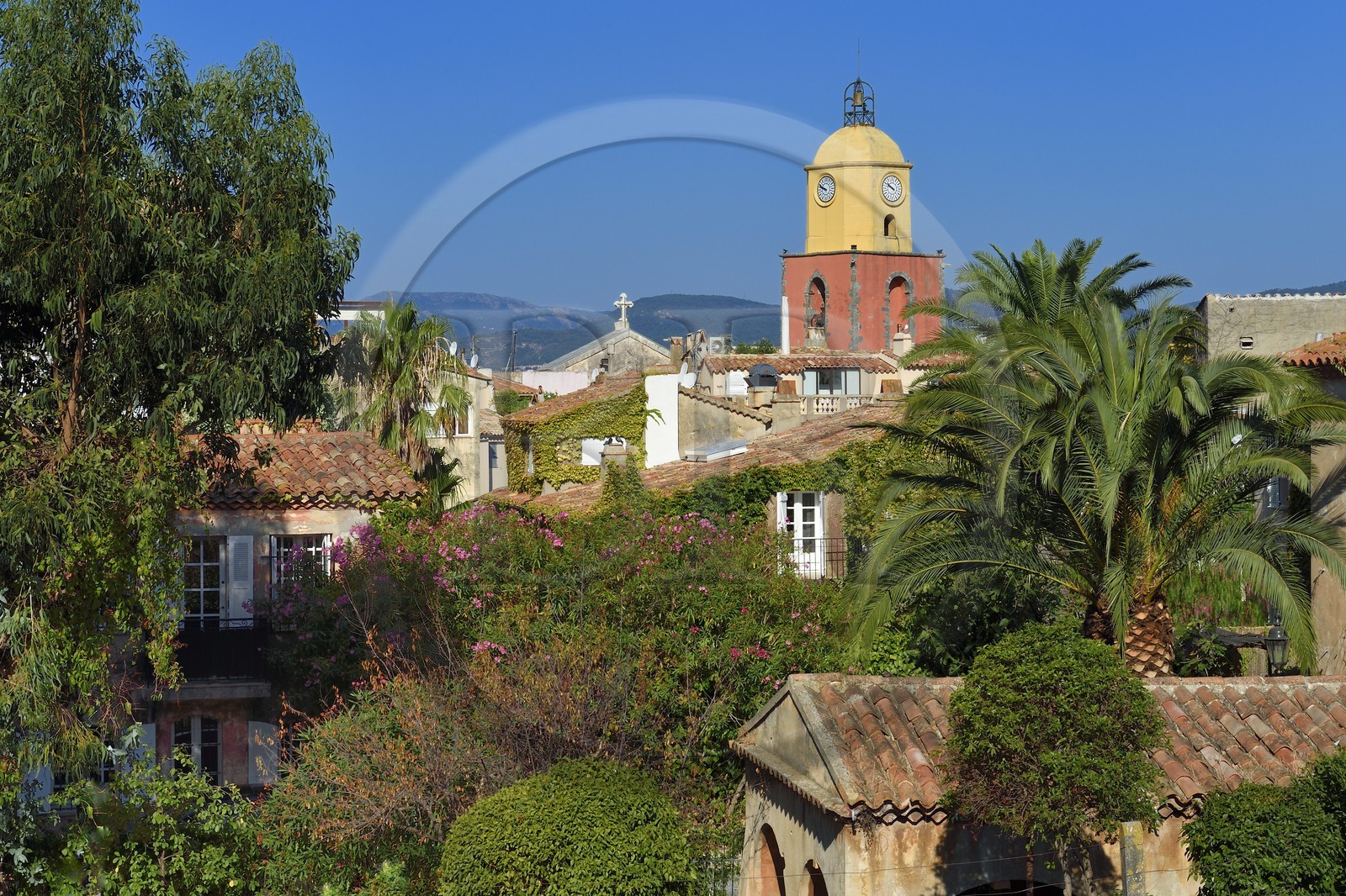 France, Var (83), Saint-Tropez,  église paroissiale Notre-Dame de l'Assomption depuis la citadelle