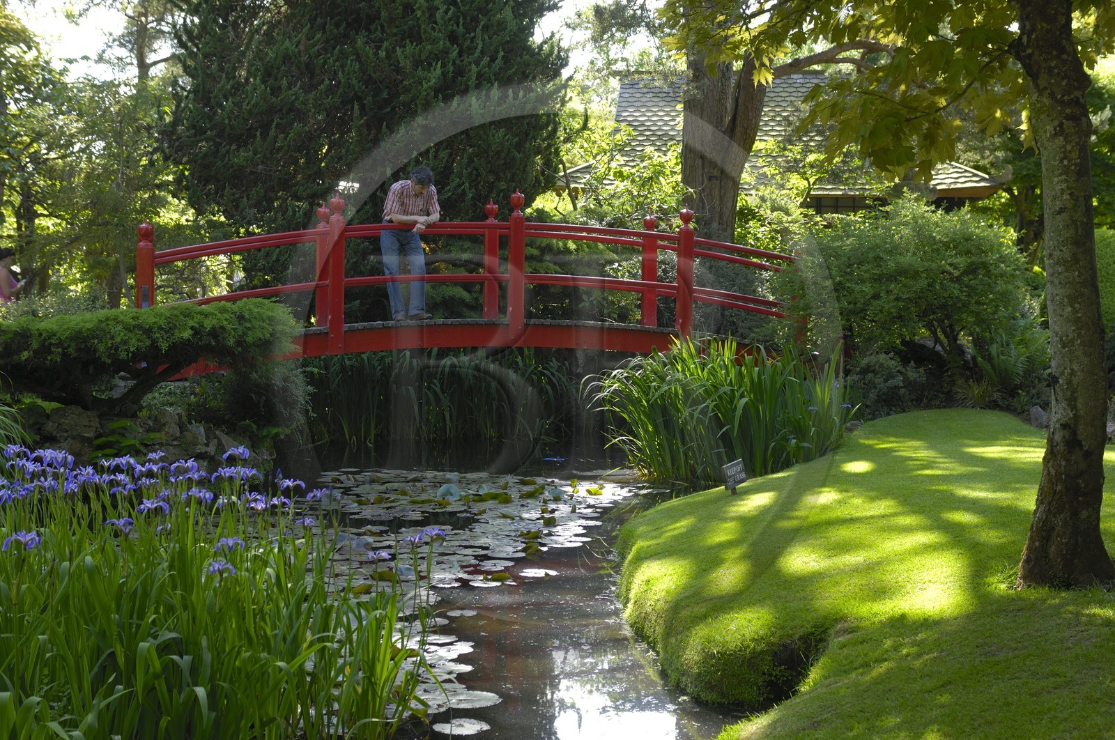 Republic of Ireland, County Kildare, Tully, Irish National Stud, Japanese Gardens