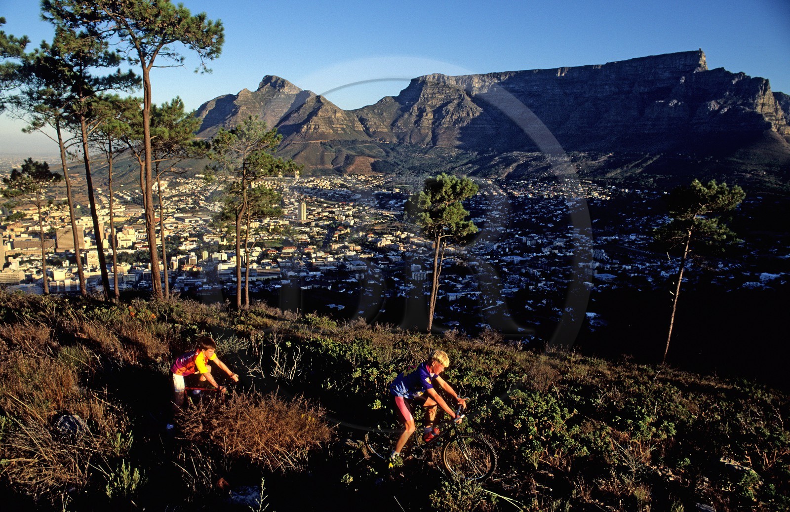 Afrique du Sud, péninsule du Cap, randonnée en VTT à Signal hill près de la ville du Cap. la Montagne de la Table au fond