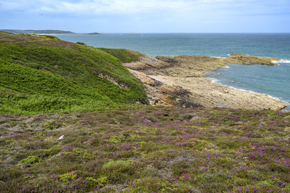 France, Côtes d'Armor (22), Grand Site de France Cap d'Erquy – Cap Fréhel, Fréhel, Pointe aux Chèvres