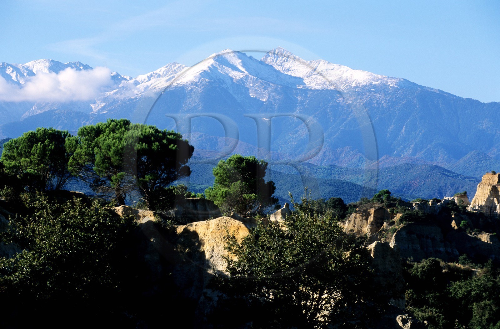 France, Pyrénées-Orientales (66), site des orgues dans le Ribéral, en face du massif du Canigou