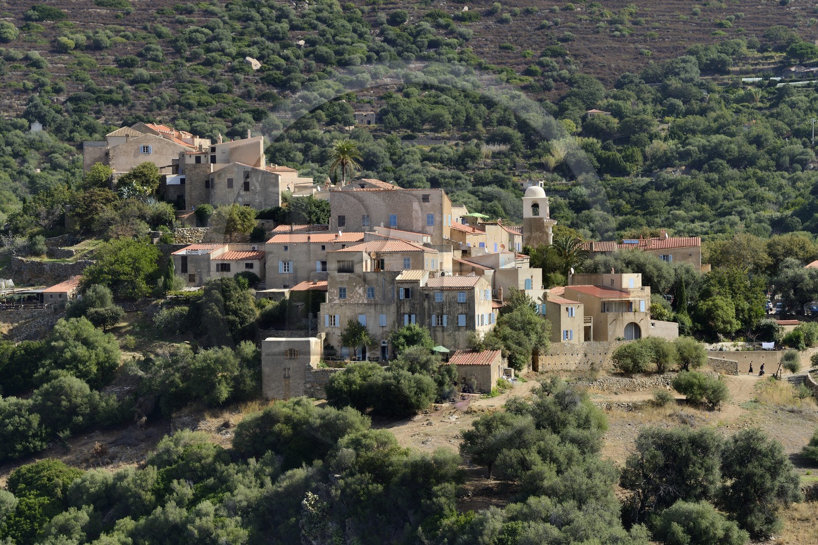 France, Haute Corse, Balagne, perched village of Pigna