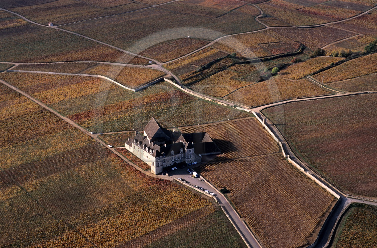 France, Côte d'Or, the Clos de Vougeot property in the middle of its vineyard in autumn (aerial view)