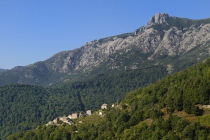 France, Haute Corse, Castagniccia, the village of Poggio di Croce (U Poghju di Croce) at the foot of mount San Petrone