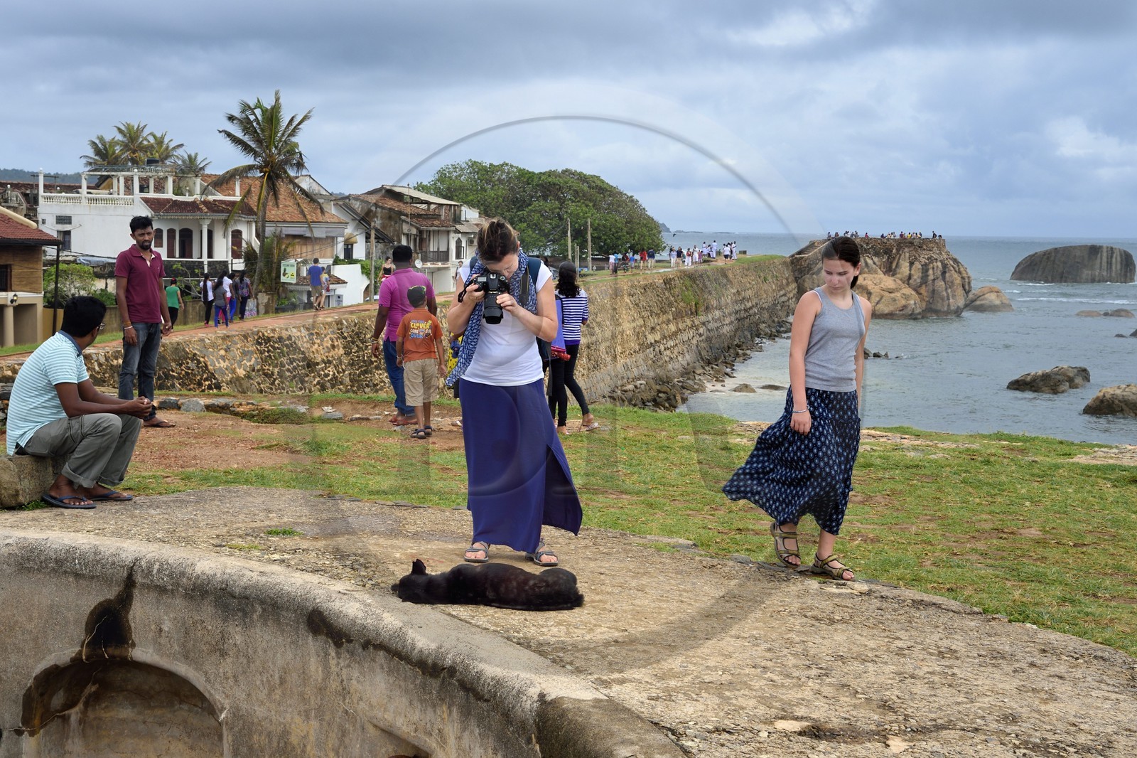 Sri Lanka, Province du Sud, Fort de Galle, classé Patrimoine Mondial de l'UNESCO, chien errant sur les remparts maritimes