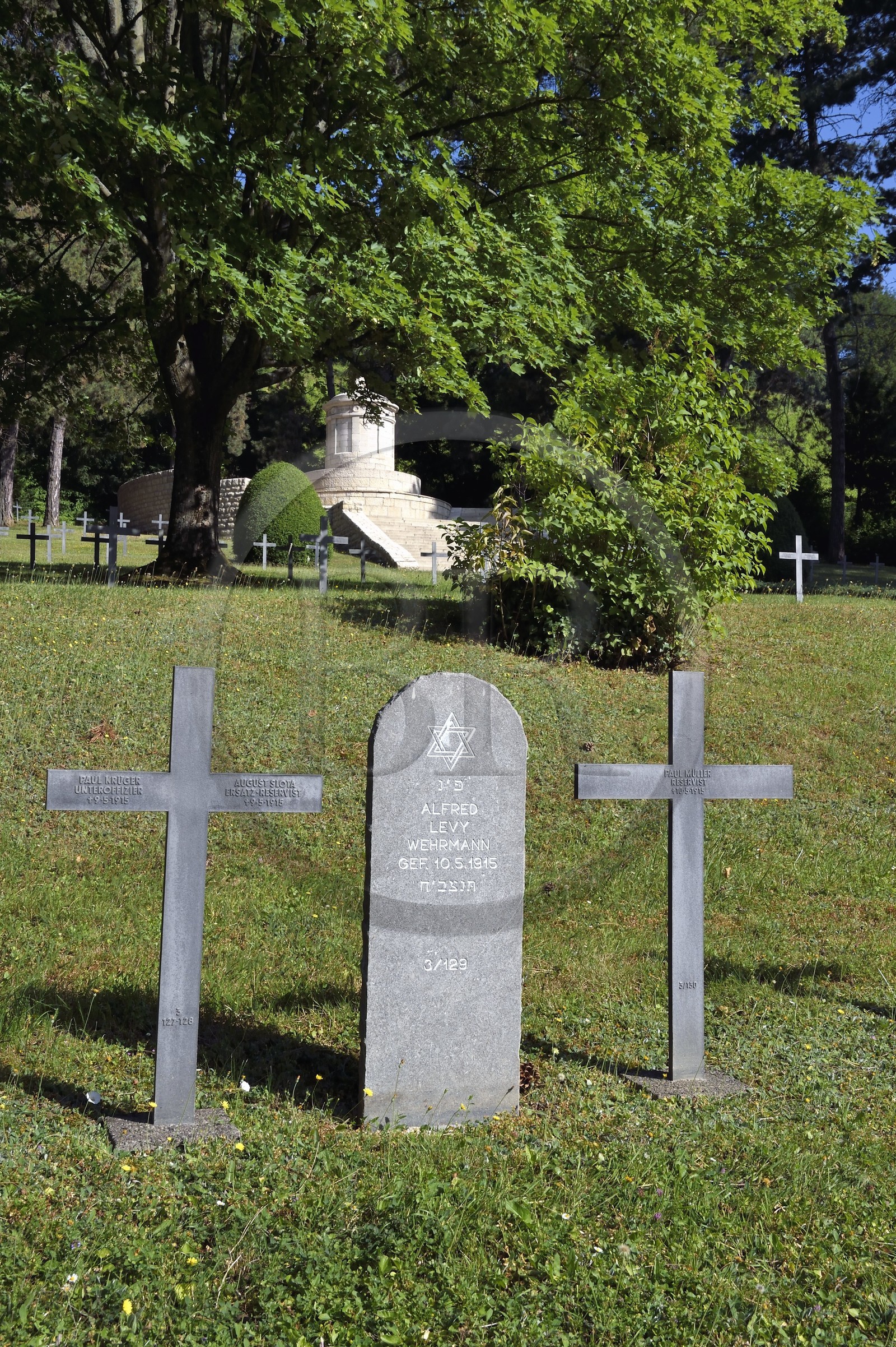 France, Meuse (55), Parc régional de Lorraine, Cotes de Meuse, Viéville-sous-les-Côtes, cimetière militaire allemand de la première guerre mondiale, tombes de soldats juifs et chrétiens cote à cote