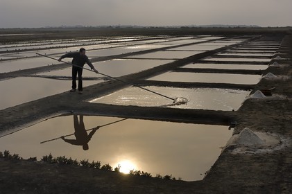 France, Charente-Maritime (17), Ile Madame, la ferme-auberge aquacole de M et Mme Jean Pierre Mineau, récolte de sel par le paludier