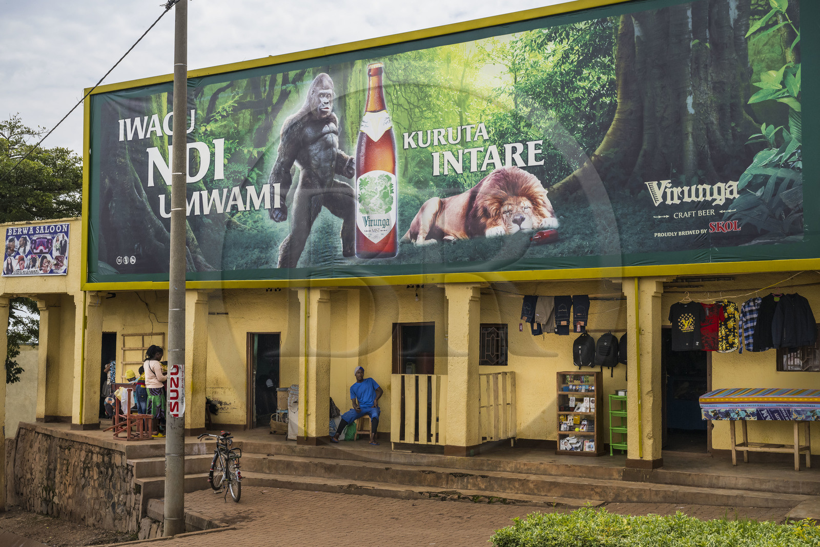 Rwanda, Northern Province, Shyorongi, advertisement for Virunga beer made in Rwanda featuring a gorilla