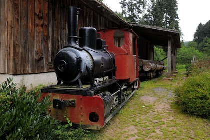 France, Moselle (57), Abreschviller, le petit train anciennement train forestier, Locotracteur 020 Gmeinder-Kaelble type Heeresfeldbahn HF 50 à écartement variable construit pour l’armée allemande en 1944