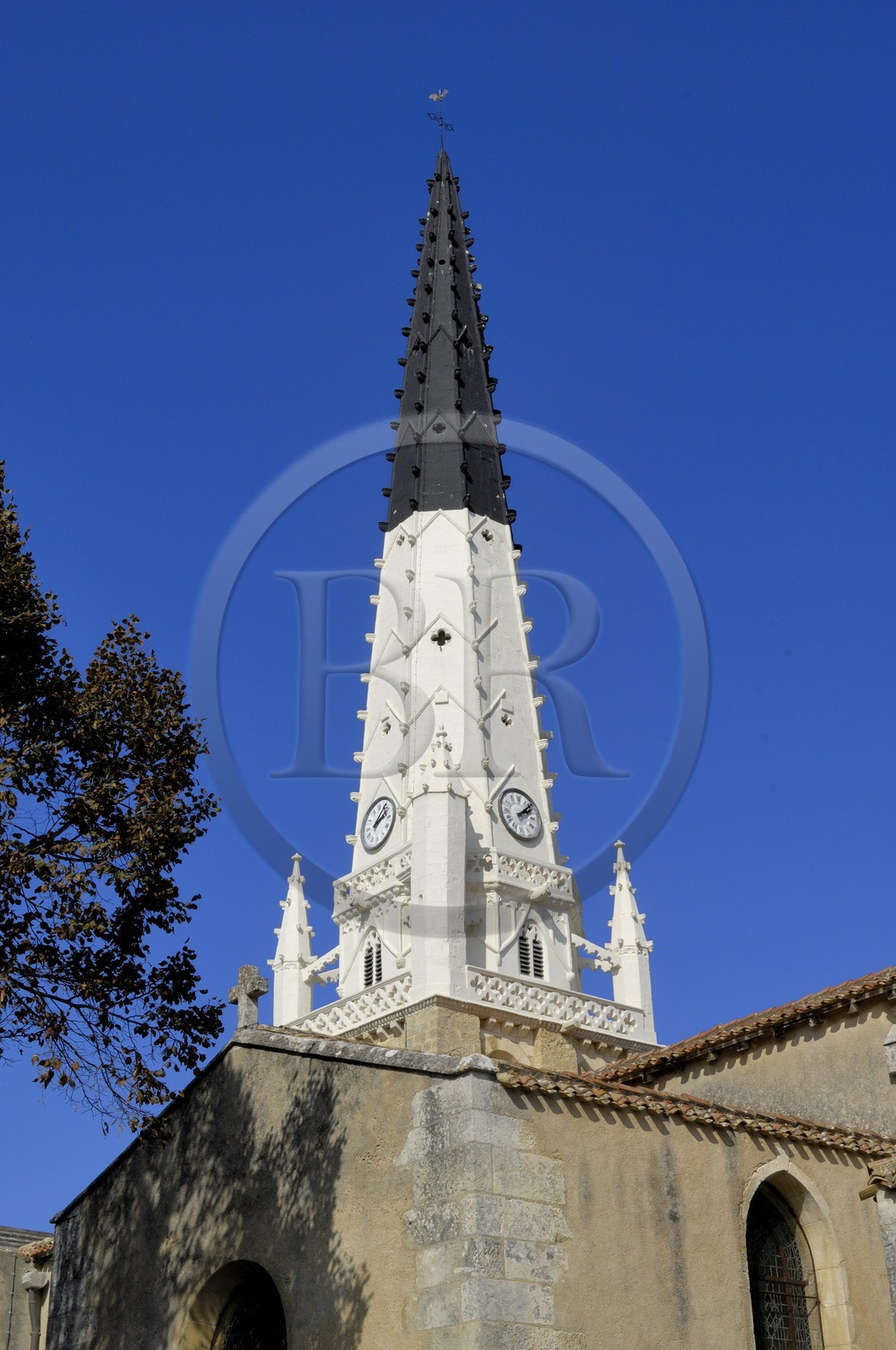 France, Charente-Maritime (17), Ile de Ré, Ars-en-Ré, l'église Saint-Etienne
