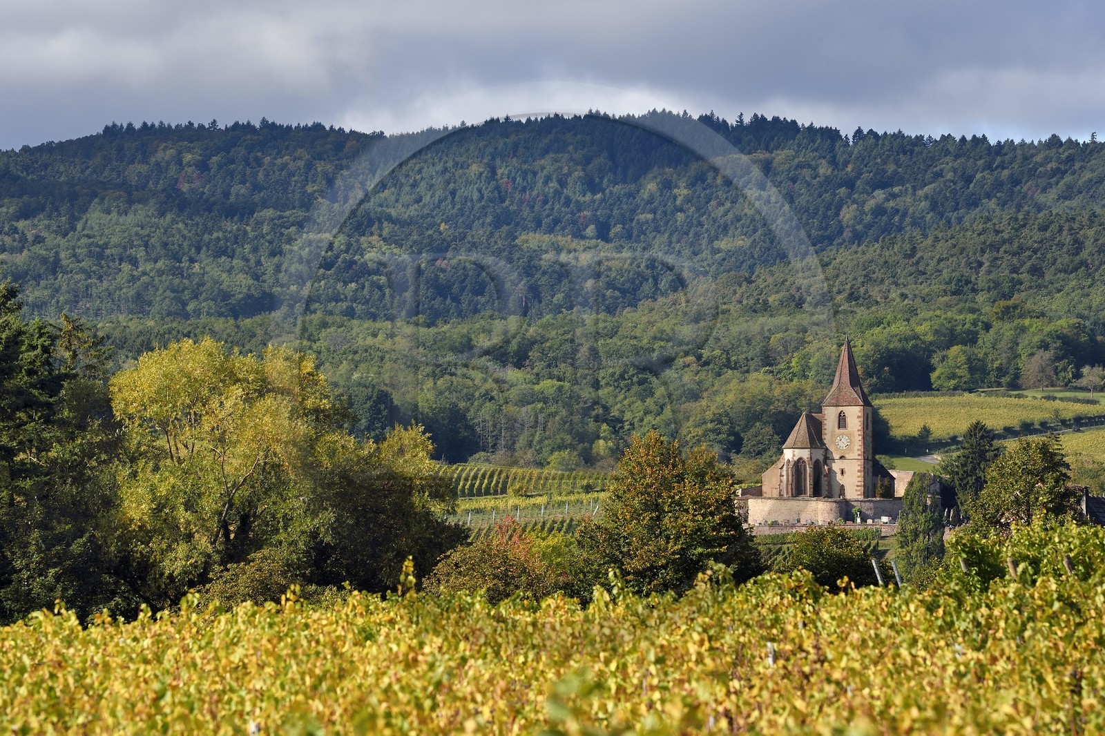 France, Haut-Rhin (68), Route des vins d'Alsace, Hunawihr, labellisé Les Plus Beaux Villages de France, église fortifiée Saint-Jacques-le-Majeur du XIVème siècle fonctionnant en simultaneum (catholique et protestant) et entourée de vignes