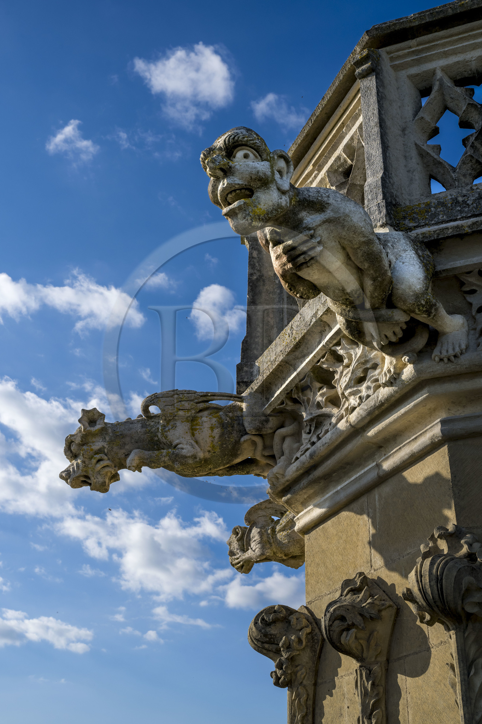 France, Nièvre, Nevers, Saint Cyr et Sainte Julitte cathedral, 16th century gargoyles at the top of the Bohier tower