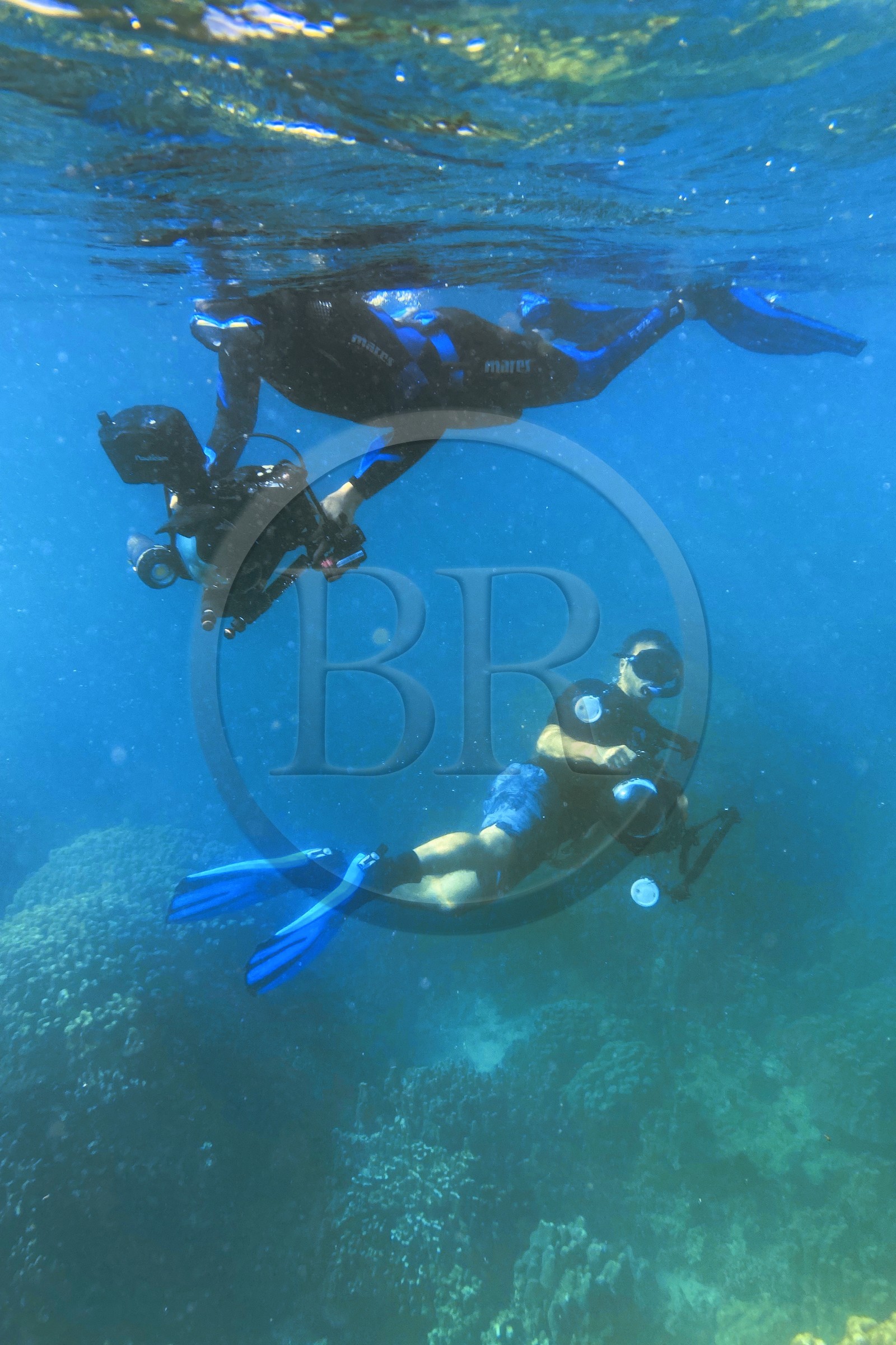 Sultanat d'Oman, gouvernorat de Mascate, réserve naturelle des Iles Daymaniyat, la photographe-plongeuse Maïsa Al-Hoot avec le plongeur photographe et réalisateur de films Darryl MacDonald
