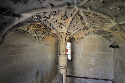 France, Paris, the Jean-sans-Peur tower was part of the Hôtel de Bourgogne (palace of the Dukes of Burgundy), built in the 15th century on the Philippe Auguste's surrounding wall, the plant decoration of the spiral staircase'vault