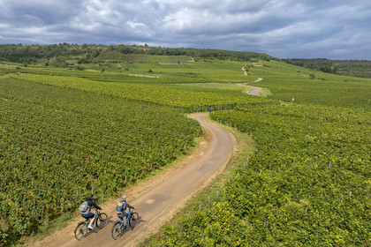 France, Côte-d'Or (21), Paysage culturel des climats de Bourgogne classés Patrimoine Mondial de l'UNESCO, vignoble de la Côte de Nuits, cyclotourisme sur la Route des Grands Crus à Vosne-Romanée