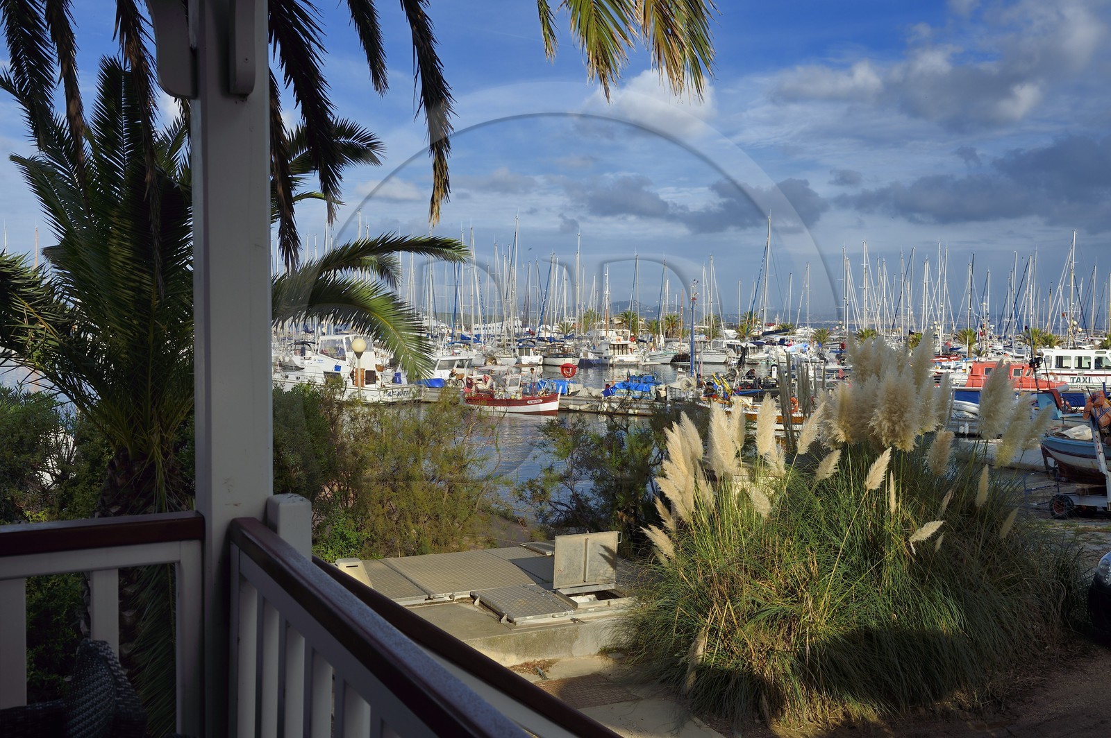 France, Var (83), Iles d'Hyères, parc national de Port Cros, Ile de Porquerolles, le quai des pêcheurs sur le port du village