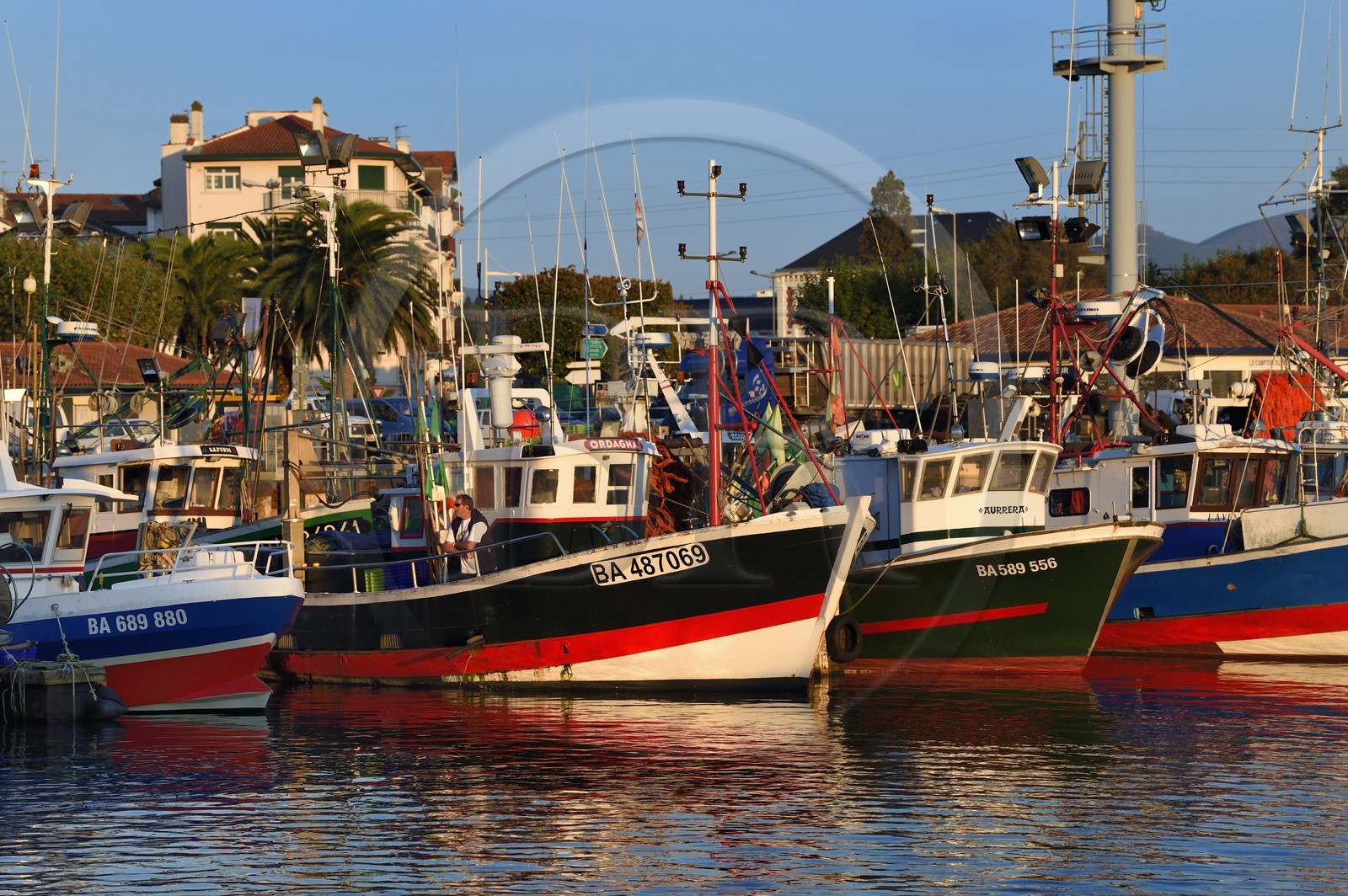 France, Pyrenees Atlantiques, Basque Country, Saint Jean de Luz, the fishing port