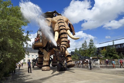 France, Loire-Atlantique, Nantes, Les Machines de l'Ile, an artistic project created by François Delaroziere and Pierre Orefice, the Big Elephant and the hangars of the former shipyards in the background